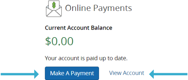 BusinessSolver Online Payment Make Payment button